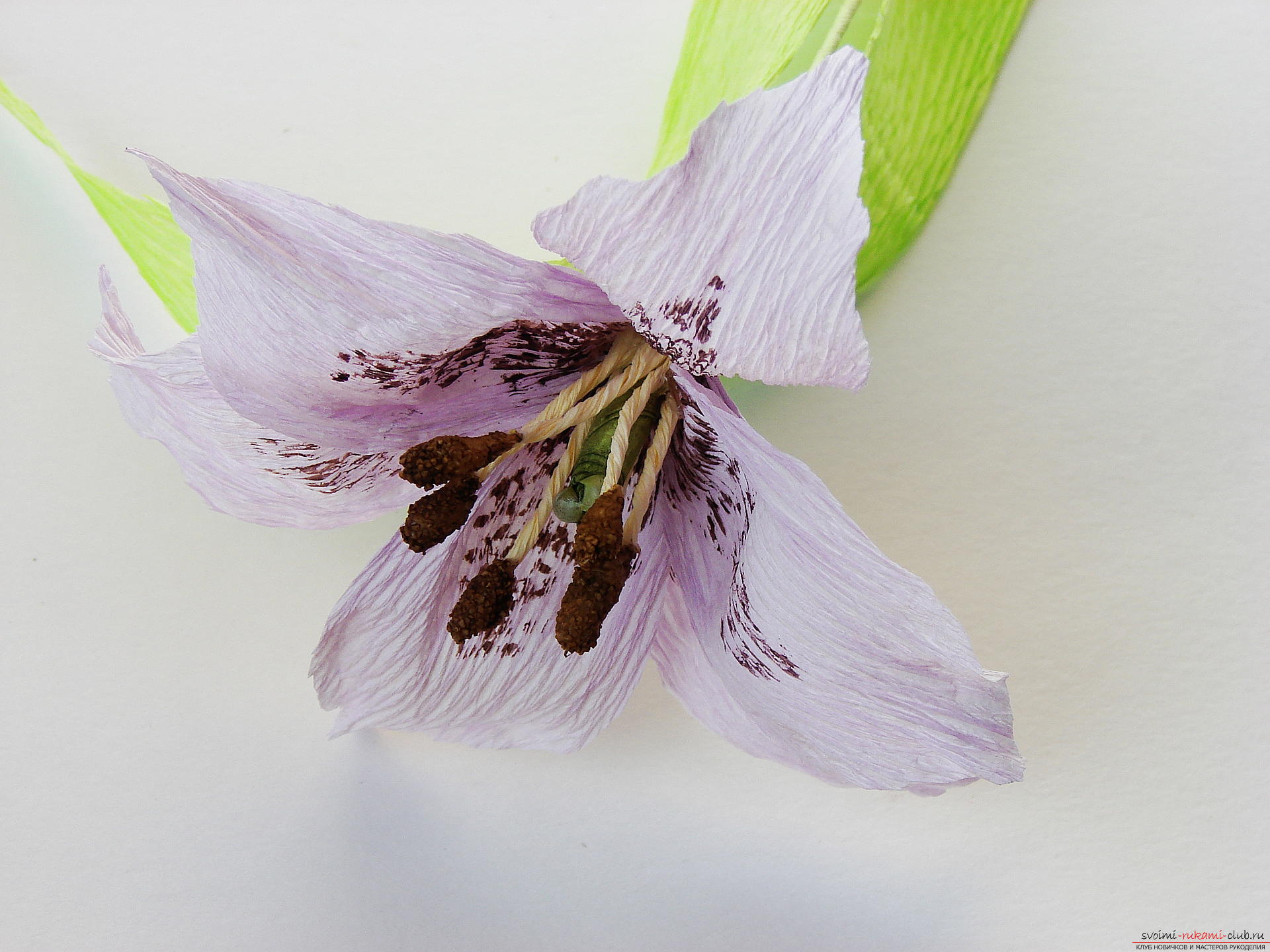 Мастер-класс научит как сделать гофрированные цветы своими руками – лилии из гофрированной бумаги.. Фото №35